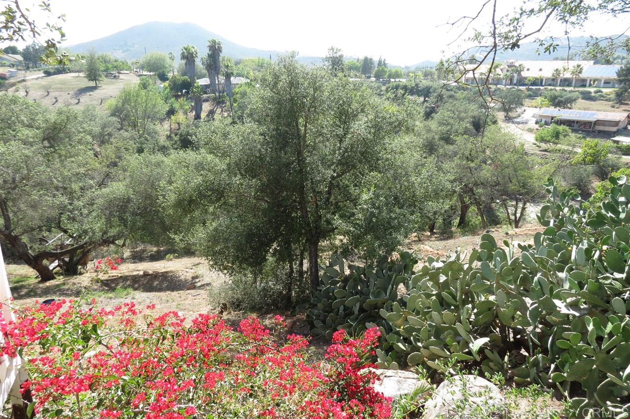 1131 Rainbow Valley Road Fallbrook, CA 92028 - Photo 7 of 25