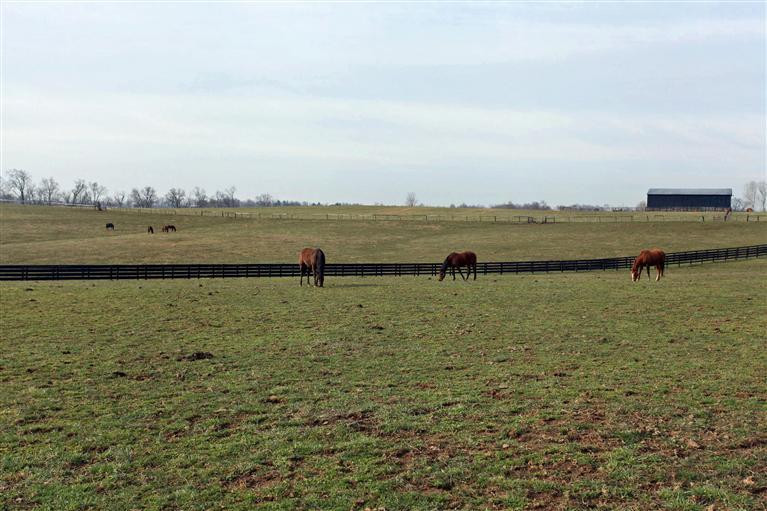 1094 Clay Kiser Road Paris, KY 40361 - Photo 22 of 44 Photo 22