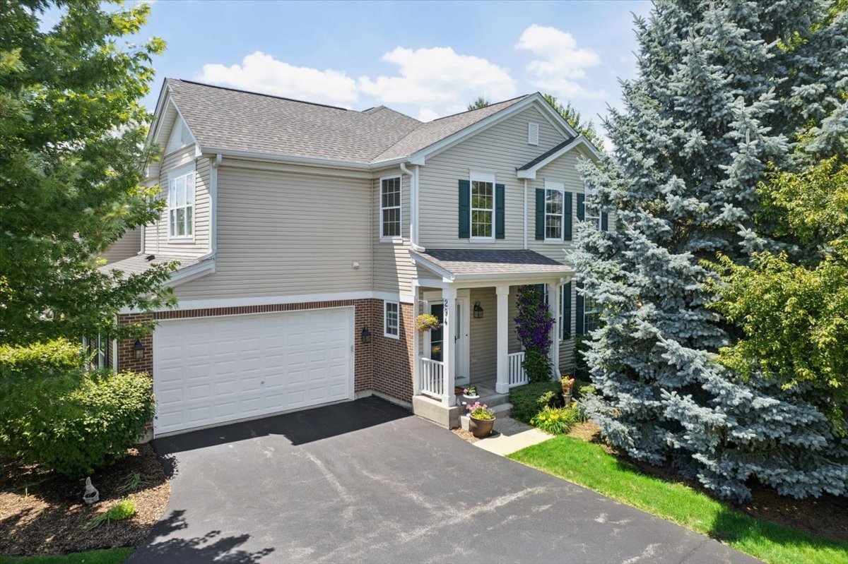 294 Larsdotter Lane Geneva, IL 60134 - Photo 1 of 28