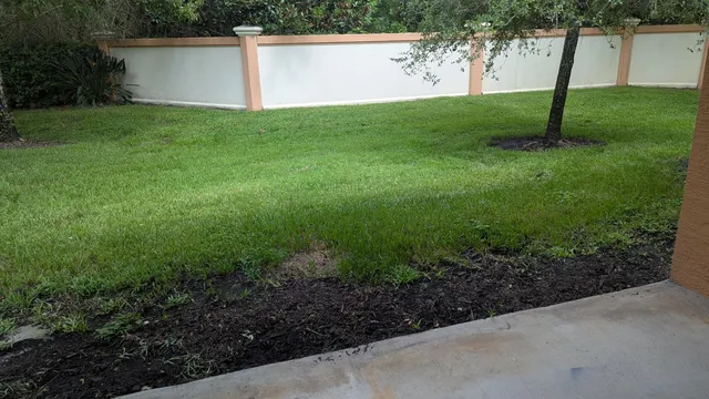 a view of a backyard