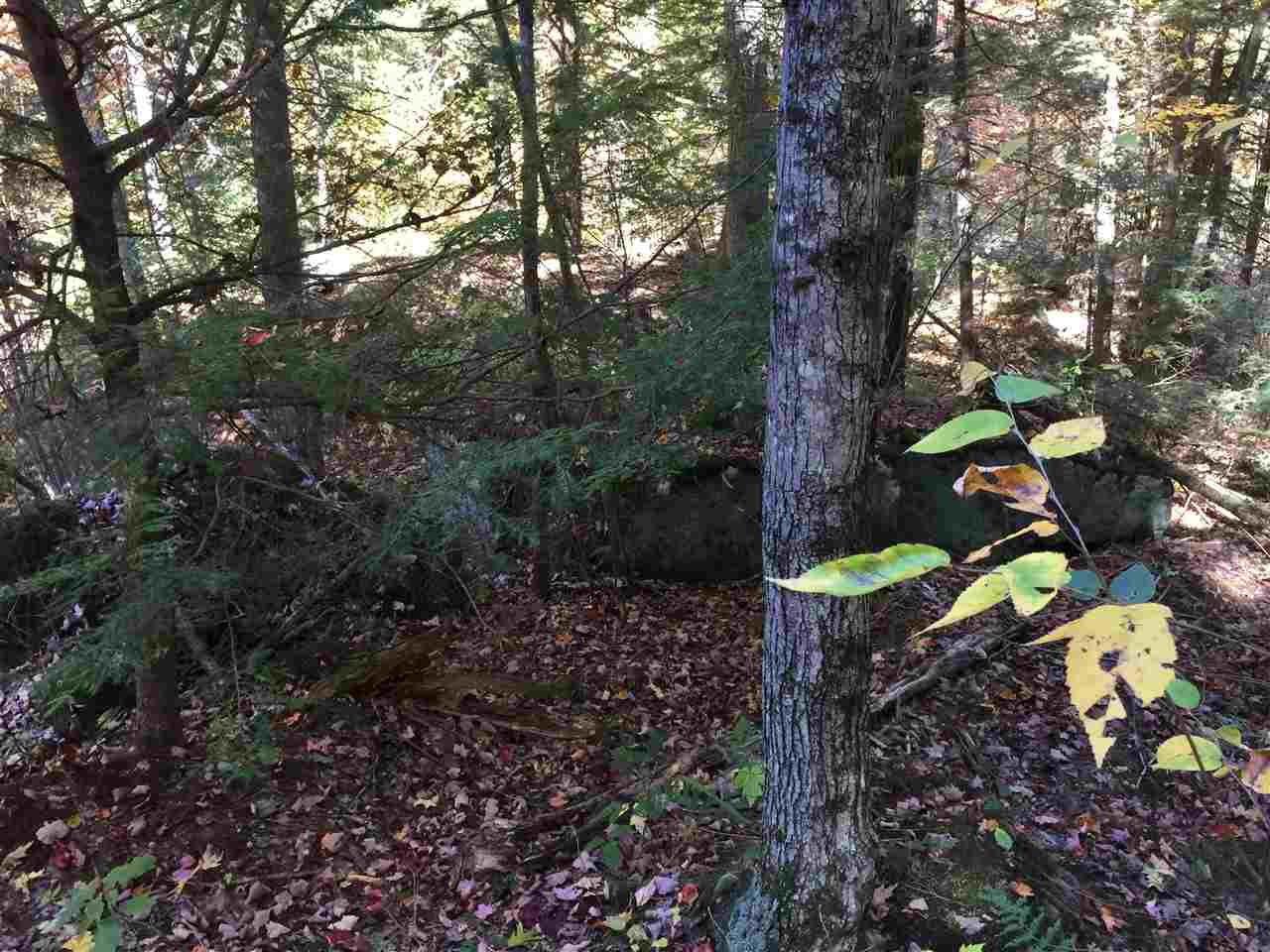 87 Old Turnpike Road Danbury, NH 03230 - Photo 16 of 39 Gallery Image 16