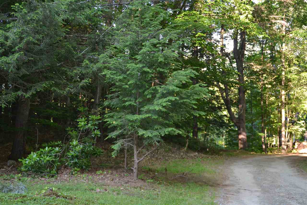 87 Old Turnpike Road Danbury, NH 03230 - Photo 36 of 39 Gallery Image 36