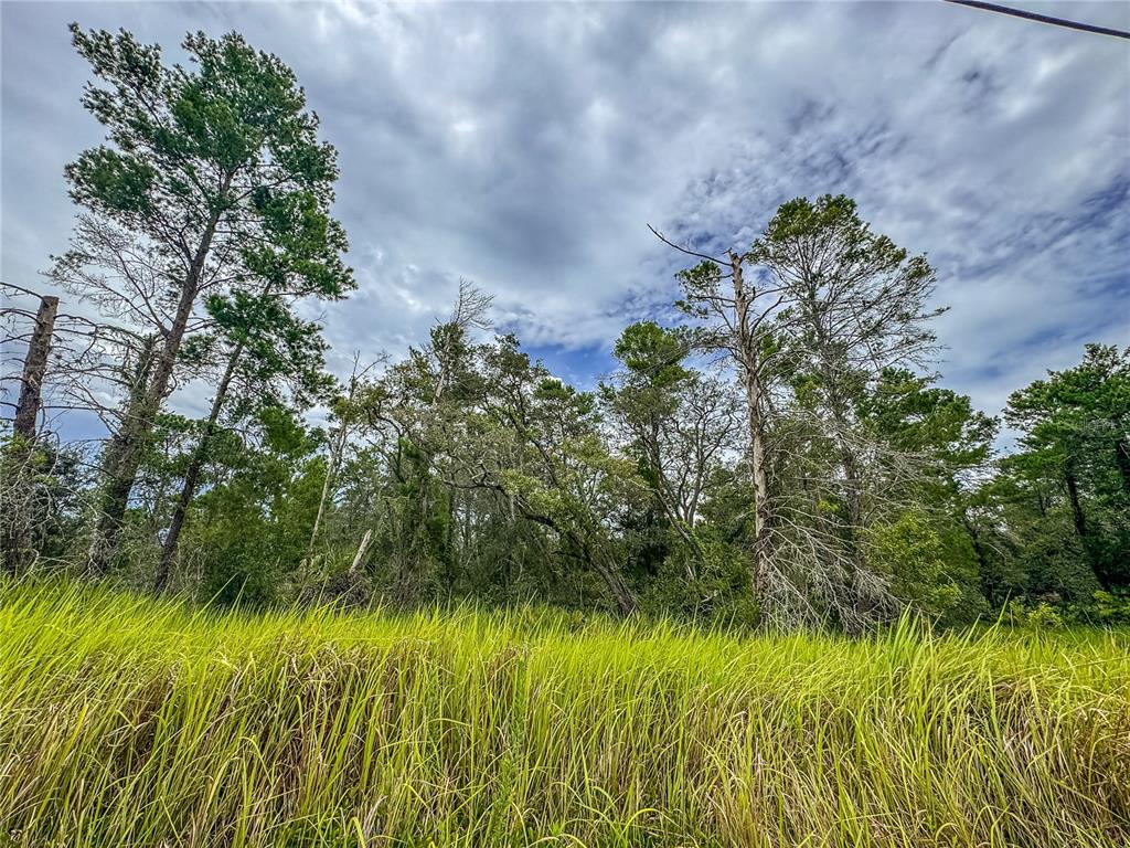 0 Bahama Swallow Avenue, Unit 9 Weeki Wachee, FL 34613 - Photo 1 of 18 a view of a garden