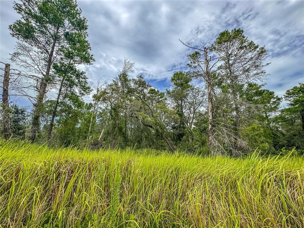 0 Bahama Swallow Avenue, Unit 9 Weeki Wachee, FL 34613 - Photo 11 of 18 a view of a garden