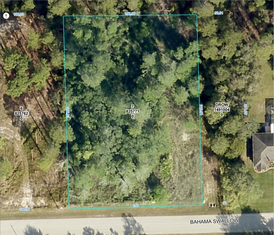 0 Bahama Swallow Avenue, Unit 9 Weeki Wachee, FL 34613 - Photo 13 of 18 a view of a yard with plants