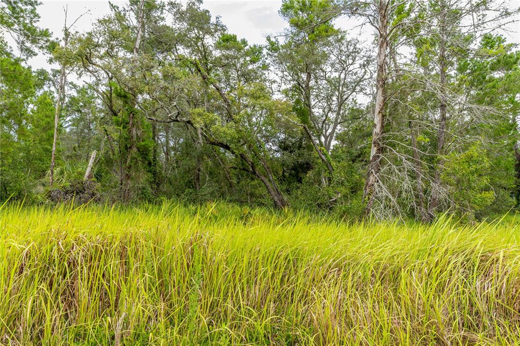0 Bahama Swallow Avenue, Unit 9 Weeki Wachee, FL 34613 - Photo 4 of 18 a view of a garden