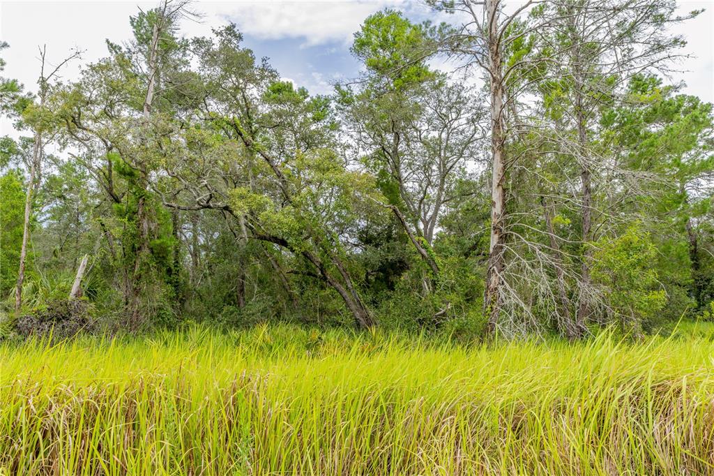 0 Bahama Swallow Avenue, Unit 9 Weeki Wachee, FL 34613 - Photo 5 of 18 a view of a yard