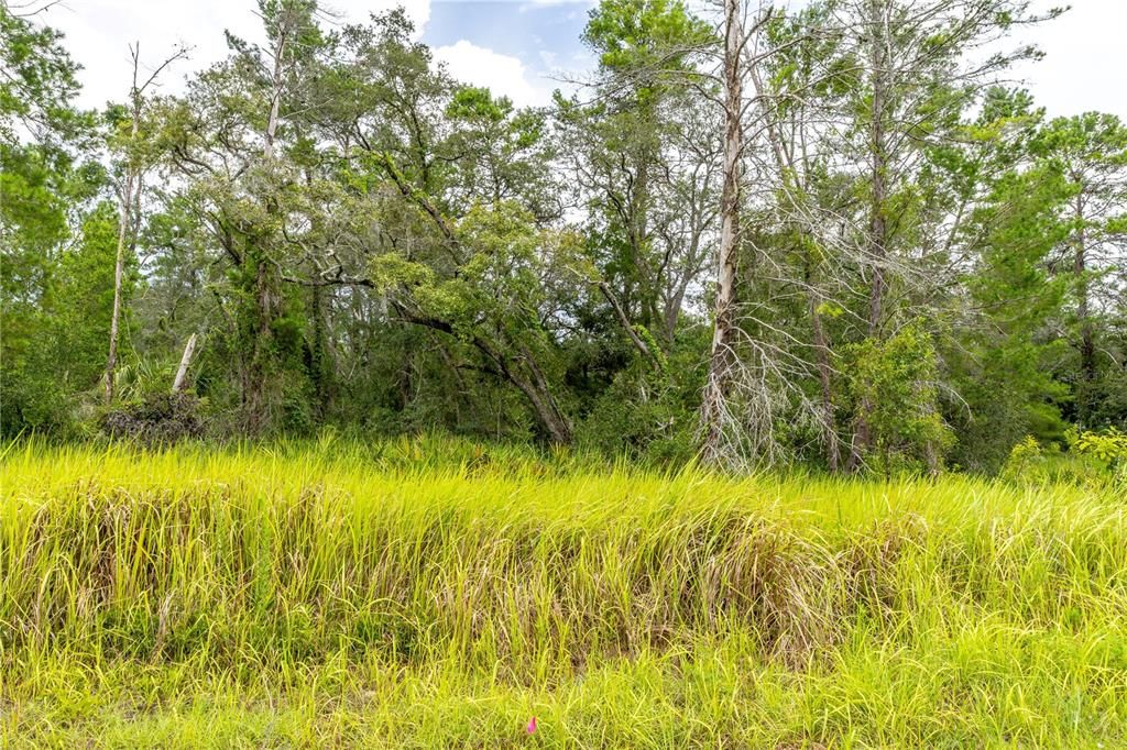 0 Bahama Swallow Avenue, Unit 9 Weeki Wachee, FL 34613 - Photo 8 of 18 a view of swimming pool from a yard