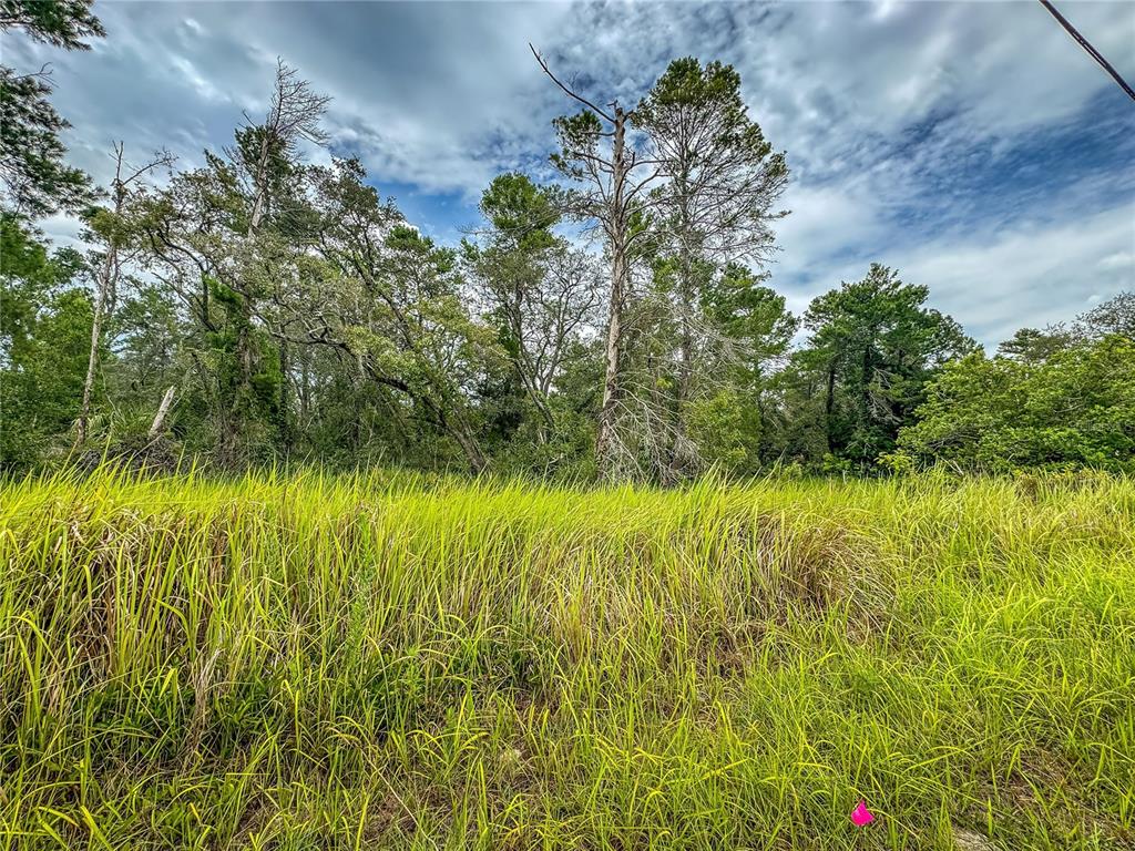 0 Bahama Swallow Avenue, Unit 9 Weeki Wachee, FL 34613 - Photo 9 of 18 a view of a garden with a lake