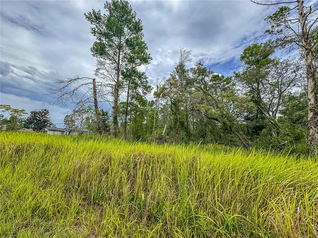 0 Bahama Swallow Avenue, Unit 9 Weeki Wachee, FL 34613 - Photo 10 of 18 a view of a garden