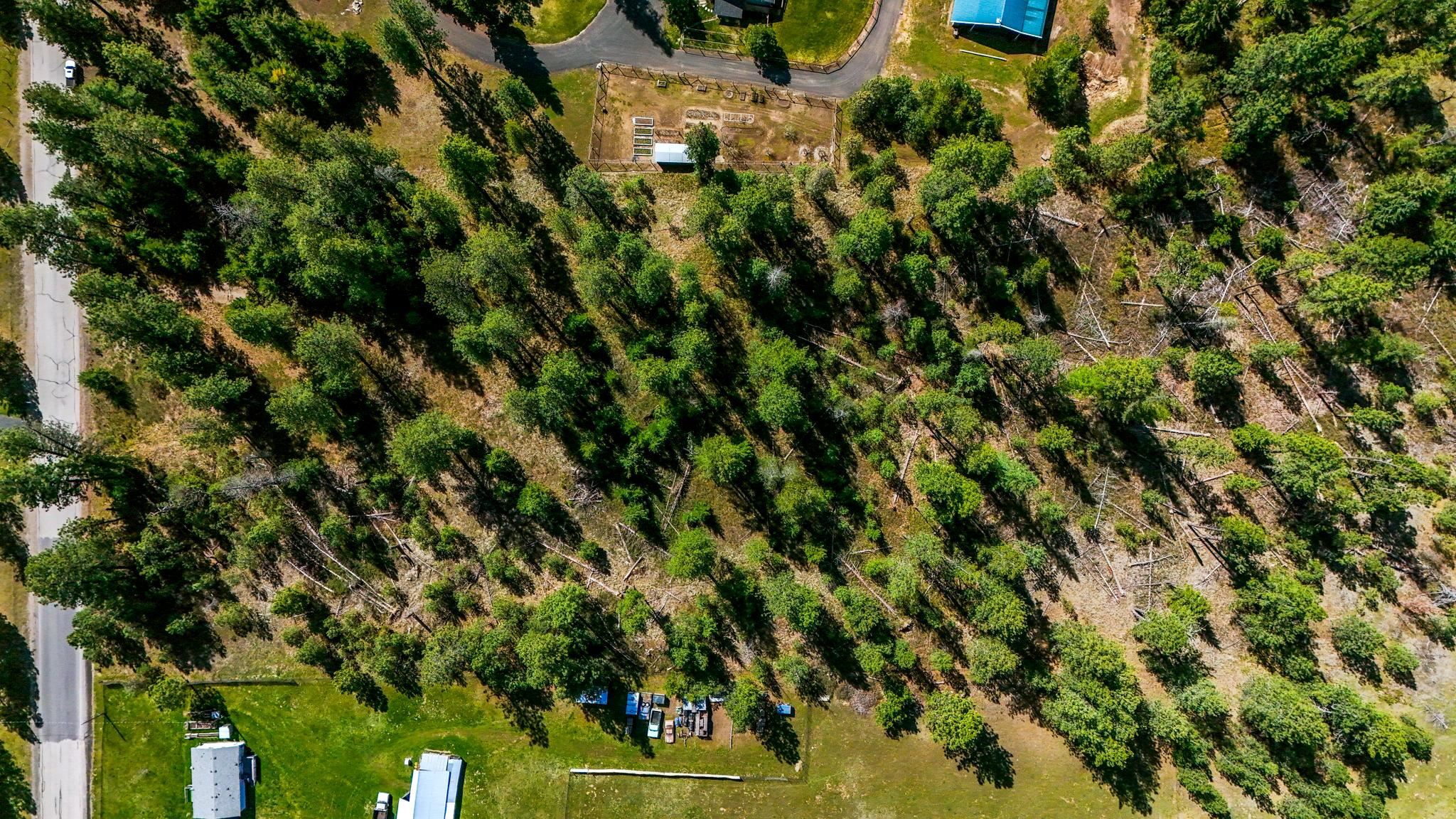 39409 North Hatch Road Deer Park, WA 99006 - Photo 12 of 28 Gallery Image 12