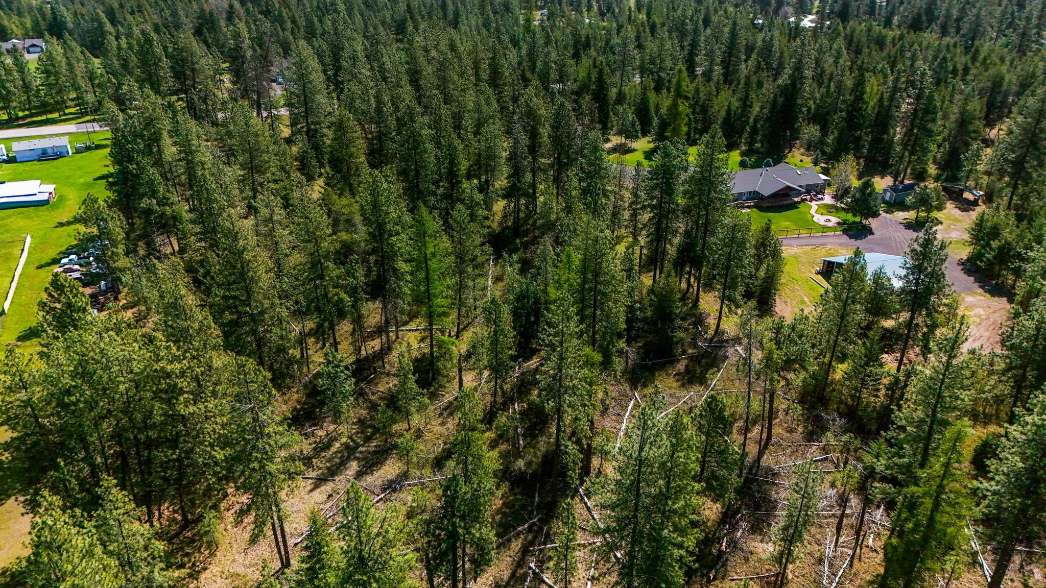 39409 North Hatch Road Deer Park, WA 99006 - Photo 19 of 28 Gallery Image 19