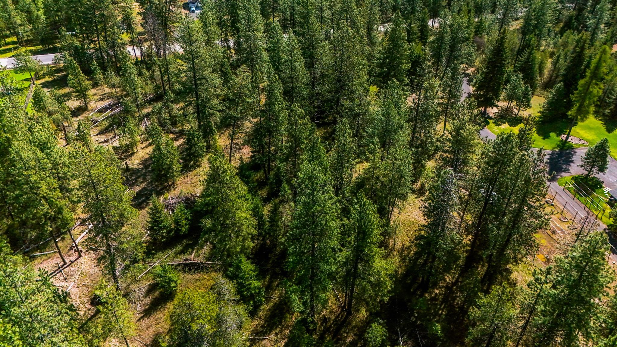39409 North Hatch Road Deer Park, WA 99006 - Photo 20 of 28 Gallery Image 20
