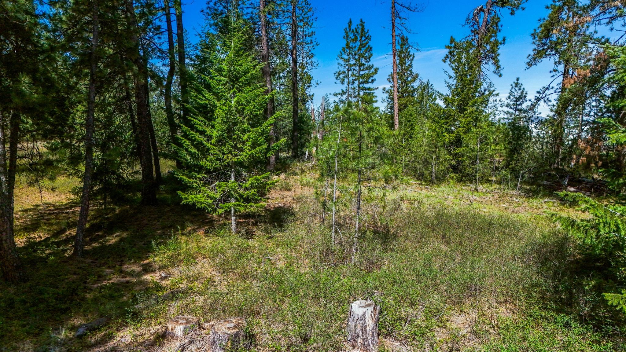 39409 North Hatch Road Deer Park, WA 99006 - Photo 28 of 28 Gallery Image 28