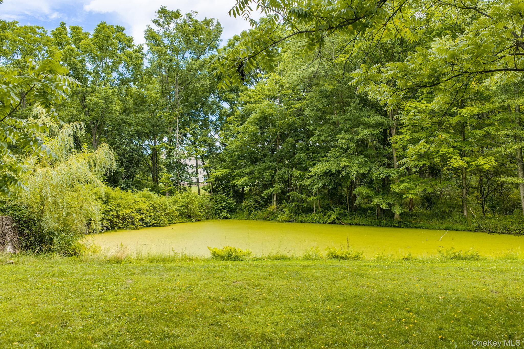 4 Plains Road Walden, NY 12586 - Photo 39 of 43