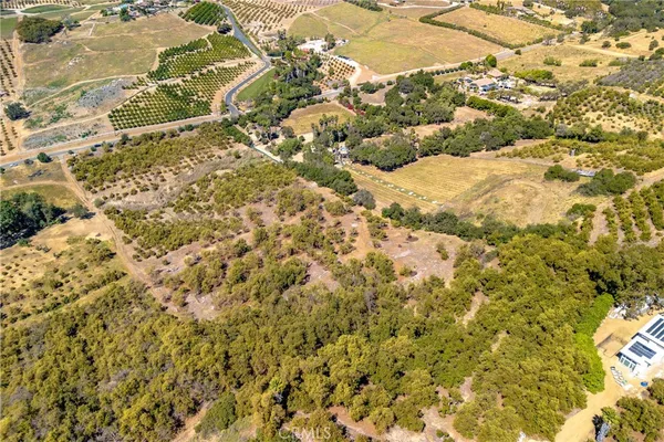 a view of a yard of the plants and small trees