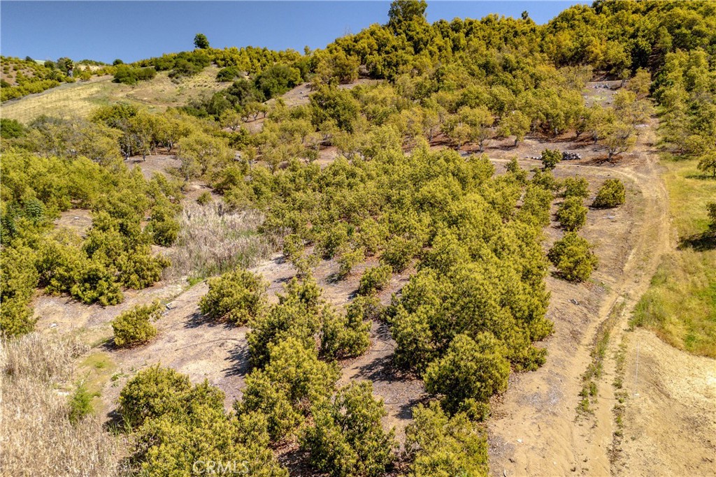 14 Carancho Road Temecula, CA 92590 - Photo 7 of 12 a view of a yard