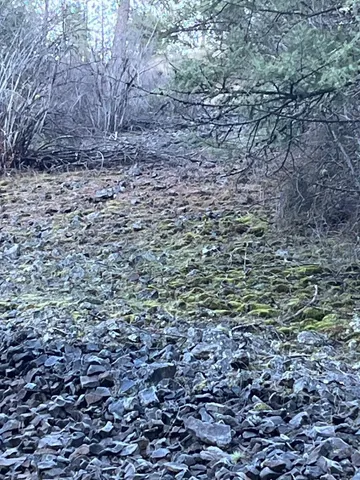 $59,000 | 31270 Blue Grouse Drive East, Davenport, WA 99122