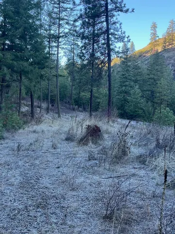 $59,000 | 31270 Blue Grouse Drive East, Davenport, WA 99122