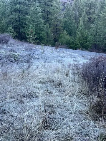 $59,000 | 31270 Blue Grouse Drive East, Davenport, WA 99122