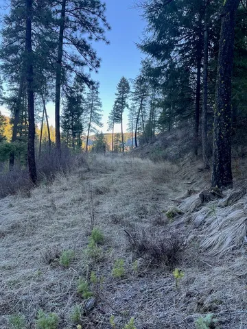 $59,000 | 31270 Blue Grouse Drive East, Davenport, WA 99122