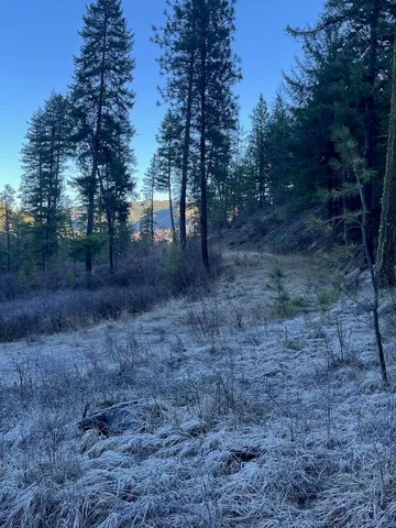 $59,000 | 31270 Blue Grouse Drive East, Davenport, WA 99122