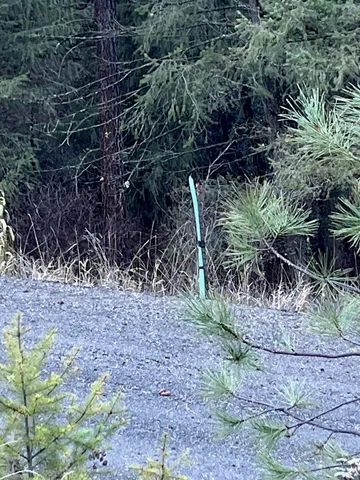 $59,000 | 31270 Blue Grouse Drive East, Davenport, WA 99122