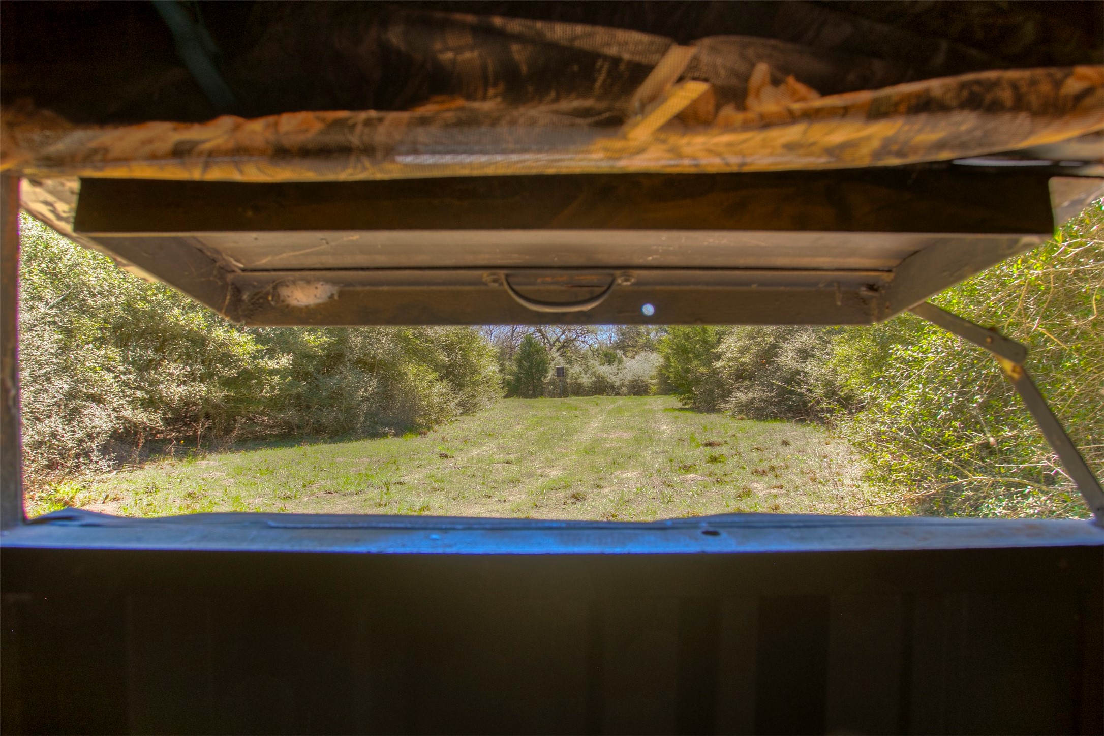 482 County Road 482 Normangee, TX 77871 - Photo 14 of 49 a view of swimming pool from a window