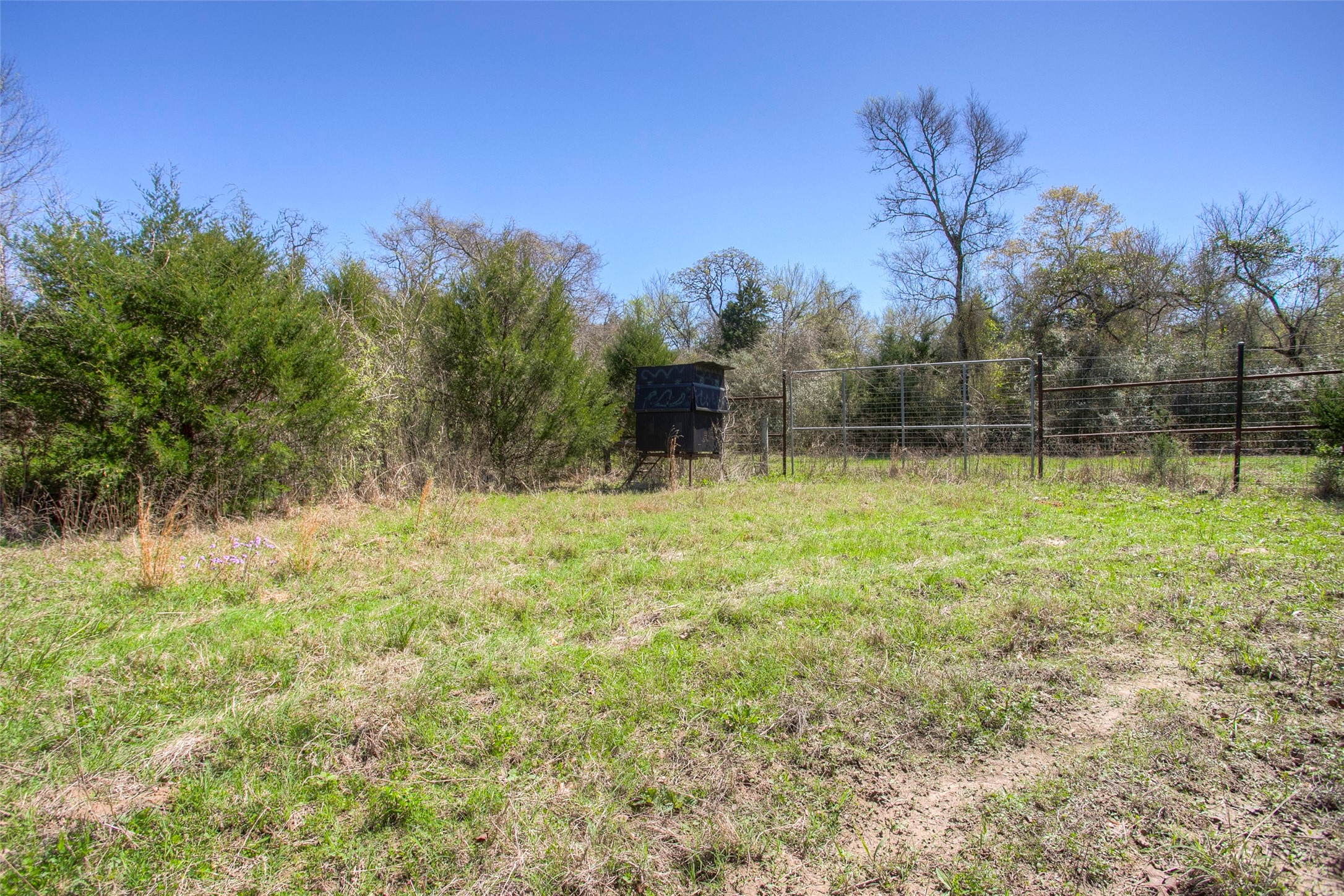 482 County Road 482 Normangee, TX 77871 - Photo 17 of 49 a view of a backyard