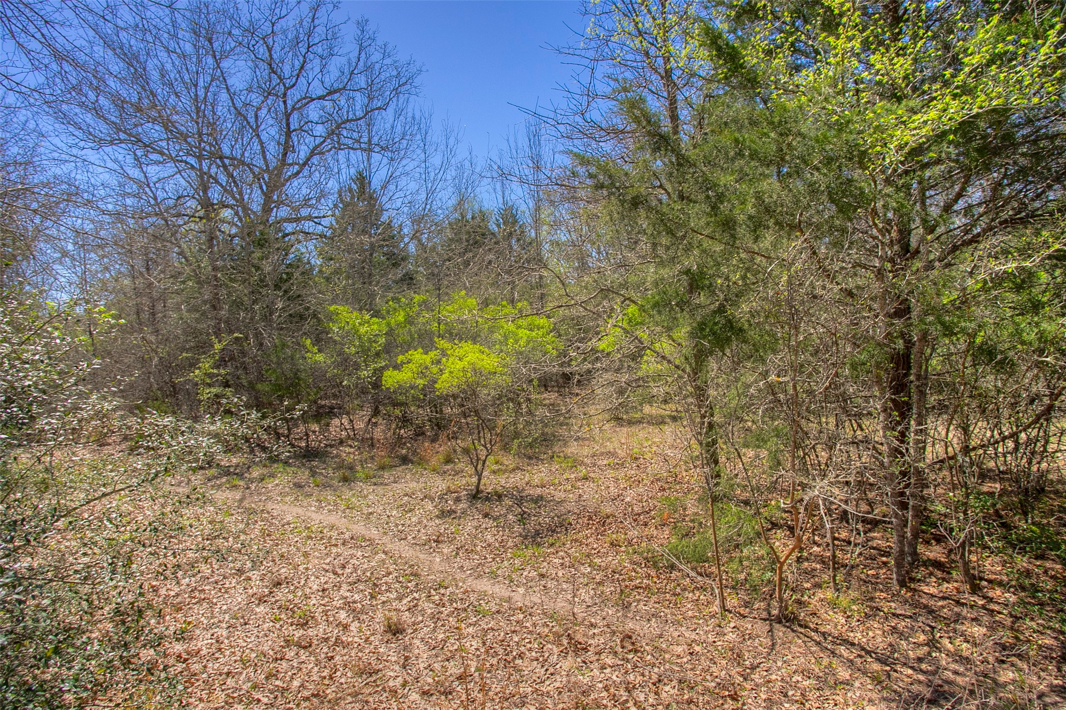482 County Road 482 Normangee, TX 77871 - Photo 30 of 49