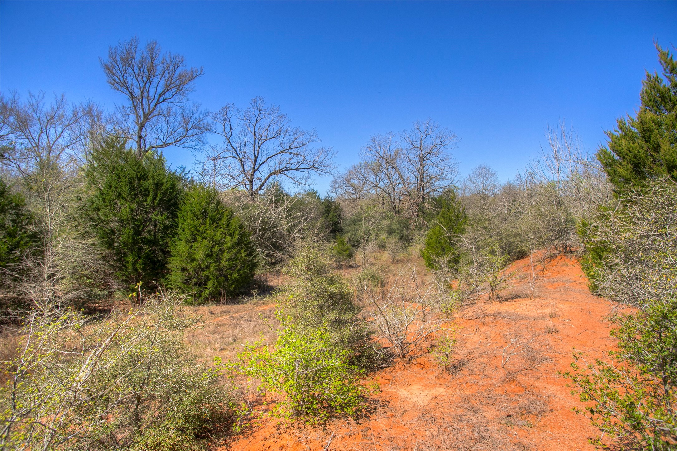 482 County Road 482 Normangee, TX 77871 - Photo 33 of 49