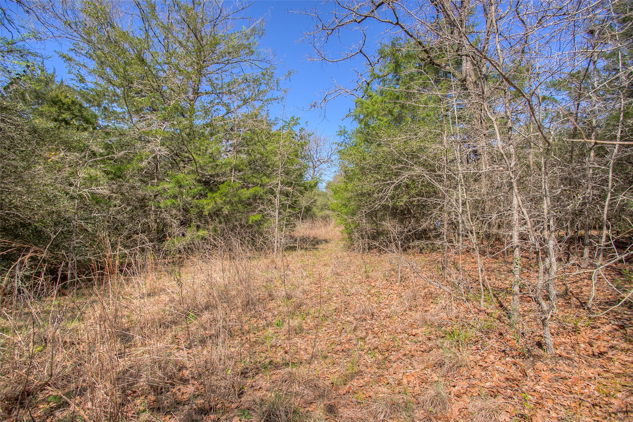 482 County Road 482 Normangee, TX 77871 - Photo 39 of 49