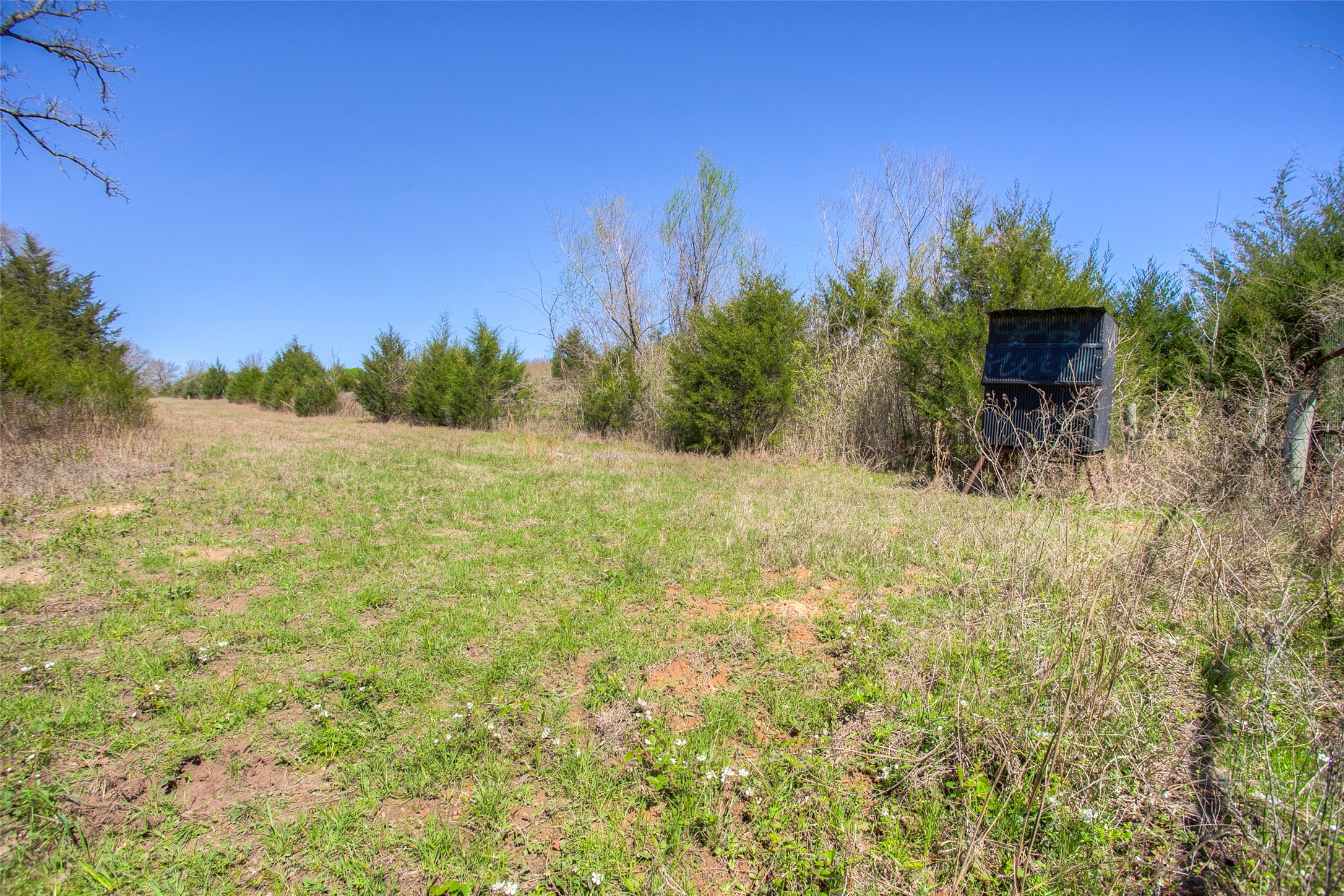 482 County Road 482 Normangee, TX 77871 - Photo 40 of 49