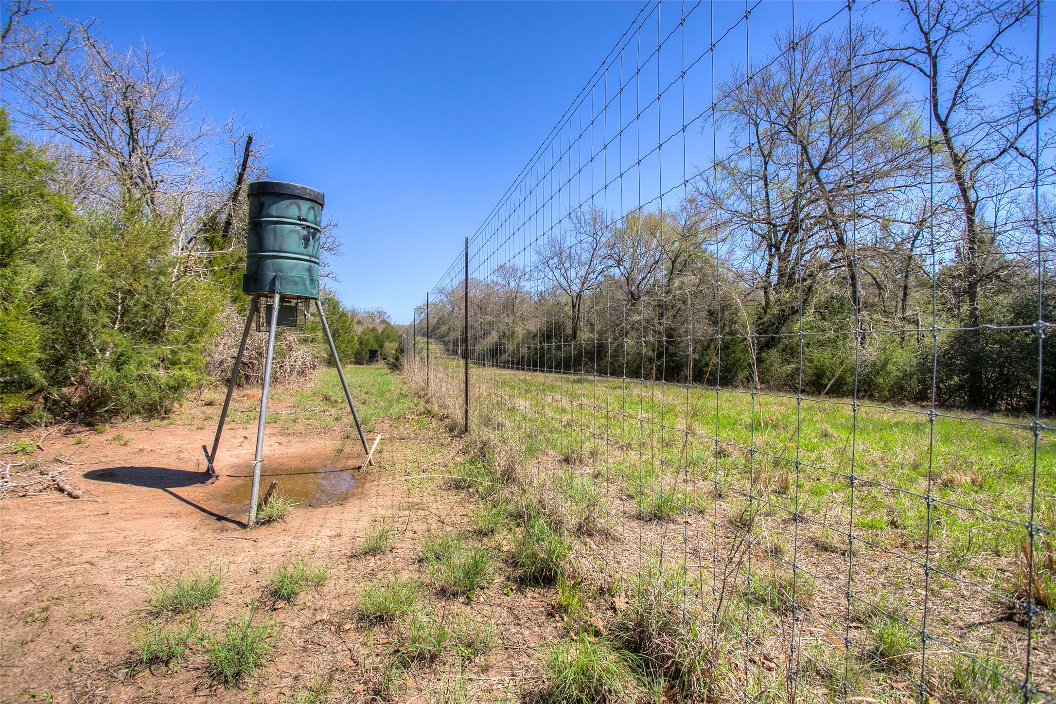 482 County Road 482 Normangee, TX 77871 - Photo 42 of 49