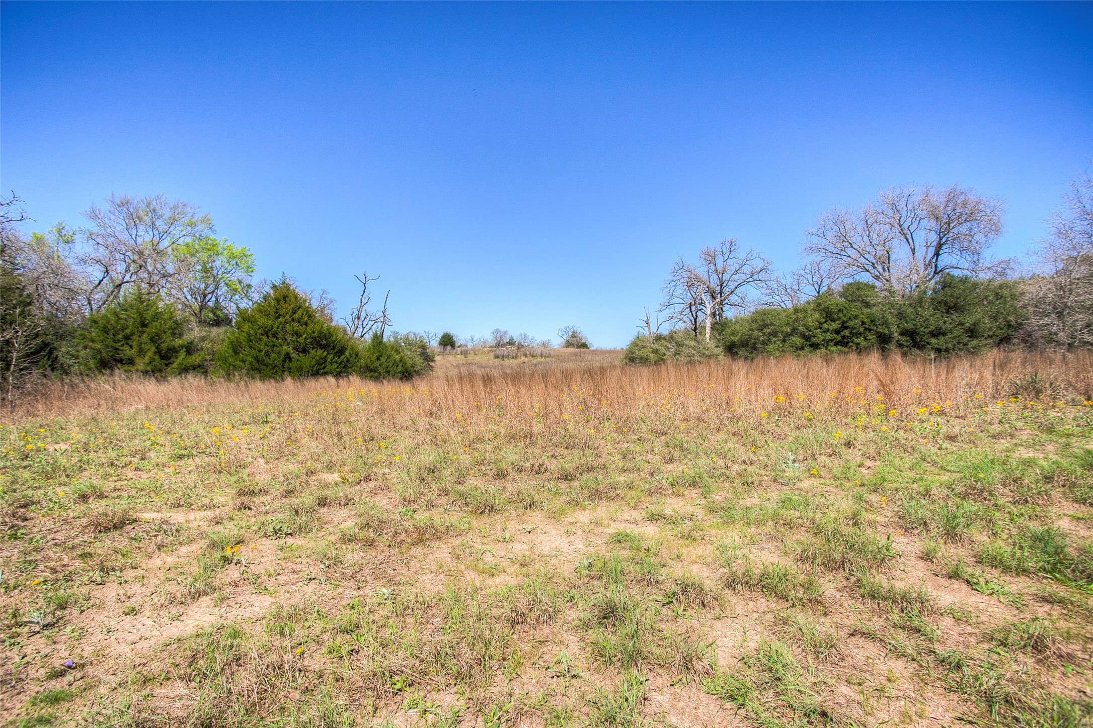 482 County Road 482 Normangee, TX 77871 - Photo 43 of 49 a view of lake with green space