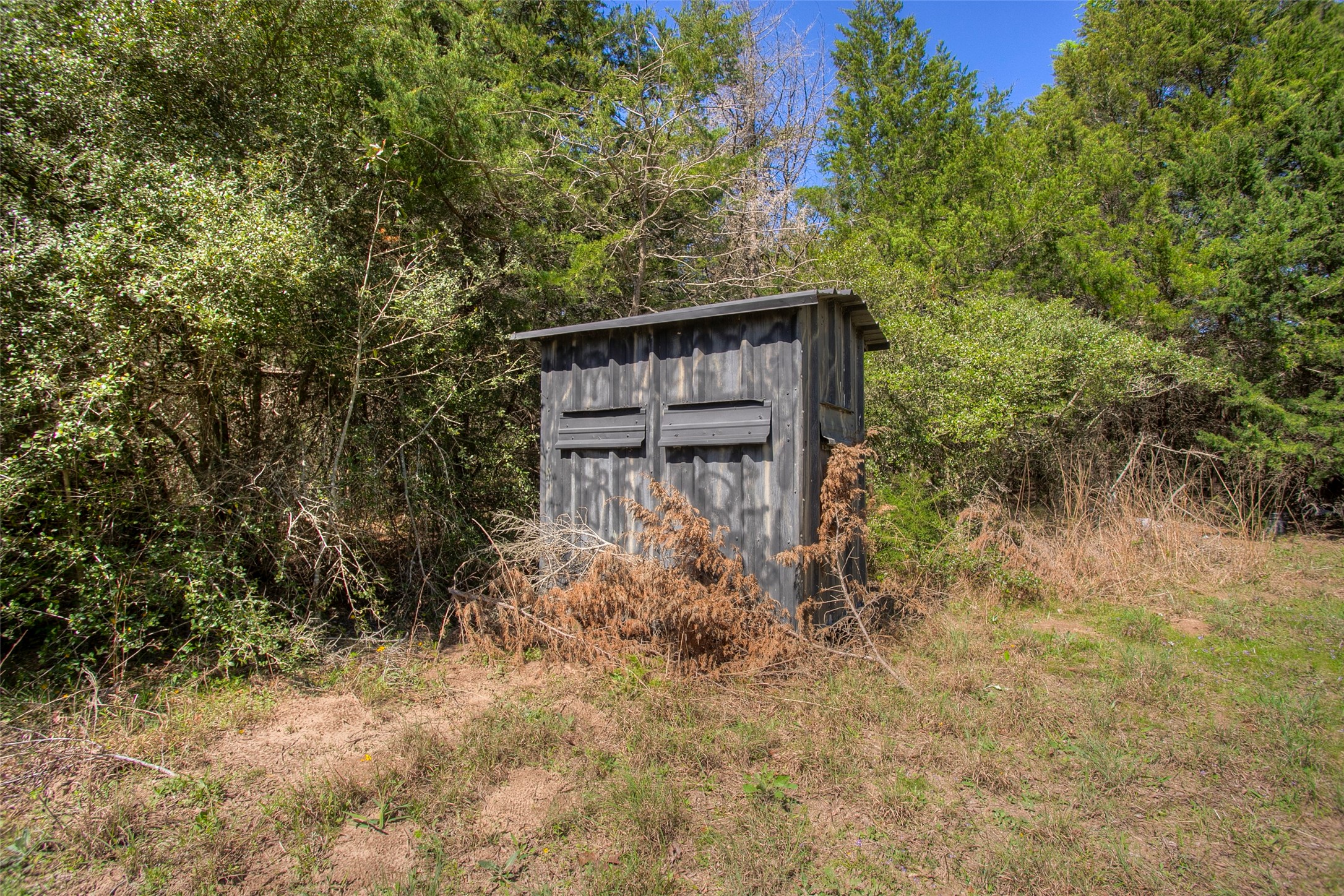 482 County Road 482 Normangee, TX 77871 - Photo 7 of 49 a view of a wooden house with large trees