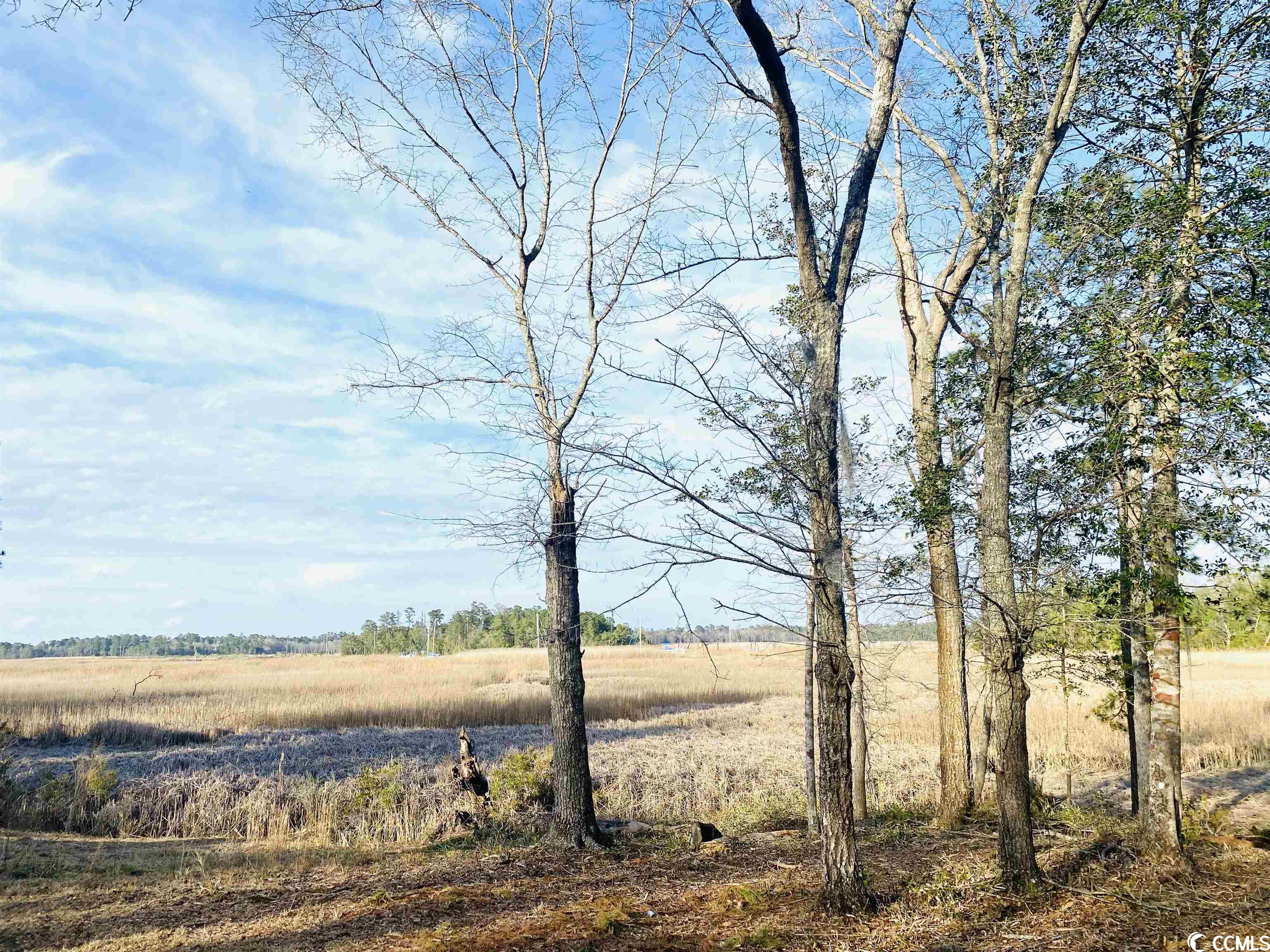 91 Middle Square Lane Georgetown, SC 29440 - Photo 20 of 32 Gallery Image 20