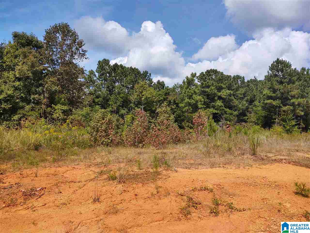17160 Lock 17 Road, Unit 1 Brookwood, AL 35444 - Photo 9 of 13