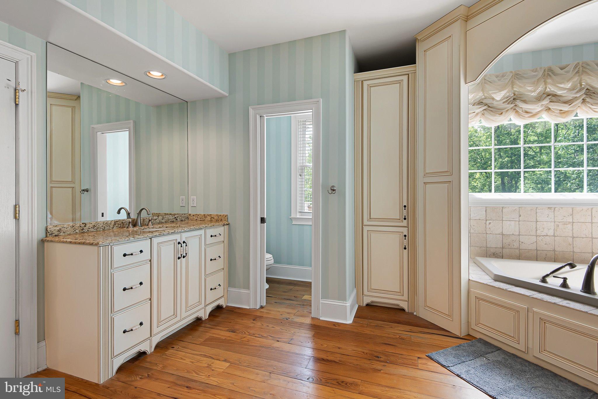 104 Timber Ridge Lane Chadds Ford, PA 19317 - Photo 30 of 65 a bathroom with a granite countertop sink and a mirror