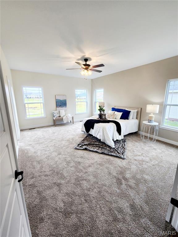 6821 Timberstone O'Fallon, IL 62269 - Photo 13 of 24