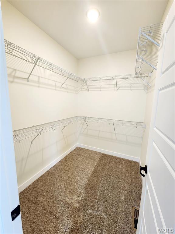 6821 Timberstone O'Fallon, IL 62269 - Photo 19 of 24