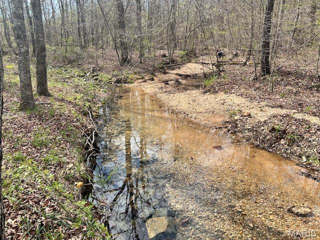 413 Kelley Road Annapolis, MO 63620 - Photo 1 of 17