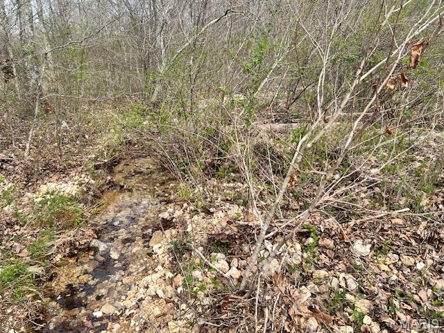 413 Kelley Road Annapolis, MO 63620 - Photo 15 of 17