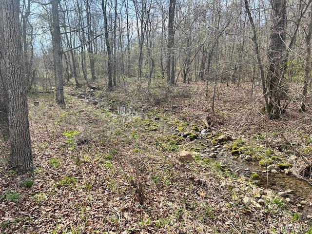 413 Kelley Road Annapolis, MO 63620 - Photo 17 of 17