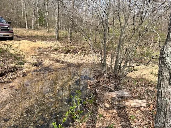 $60,000 | 413 Kelley Road, Annapolis, MO 63620