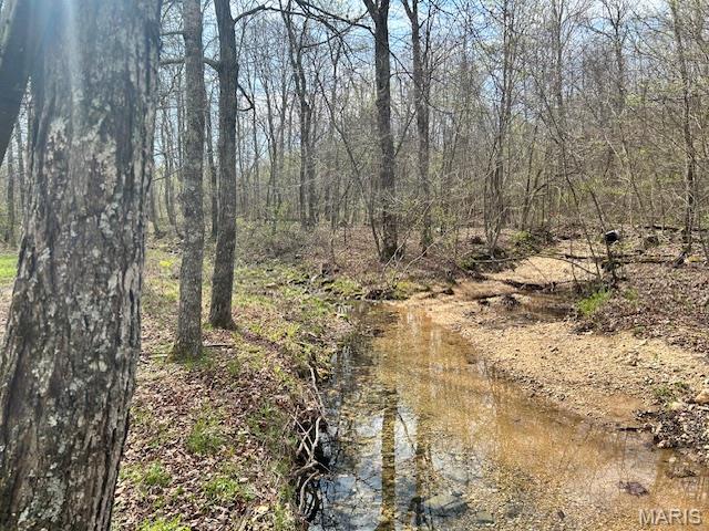 413 Kelley Road Annapolis, MO 63620 - Photo 3 of 17