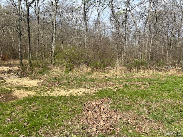 413 Kelley Road Annapolis, MO 63620 - Photo 5 of 17