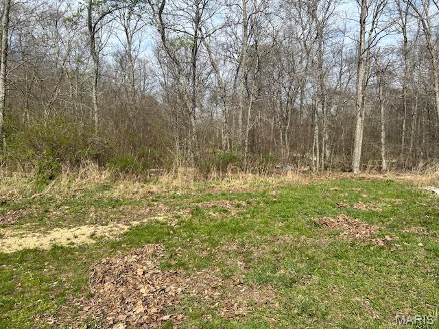 413 Kelley Road Annapolis, MO 63620 - Photo 6 of 17