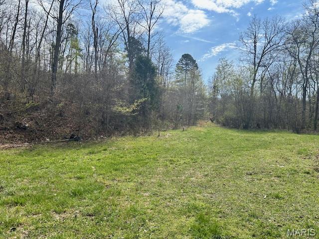 413 Kelley Road Annapolis, MO 63620 - Photo 7 of 17