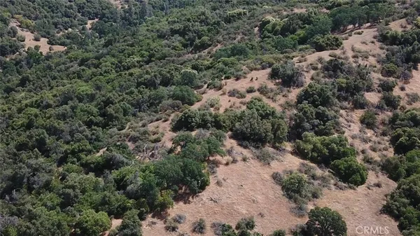 an aerial view of forest